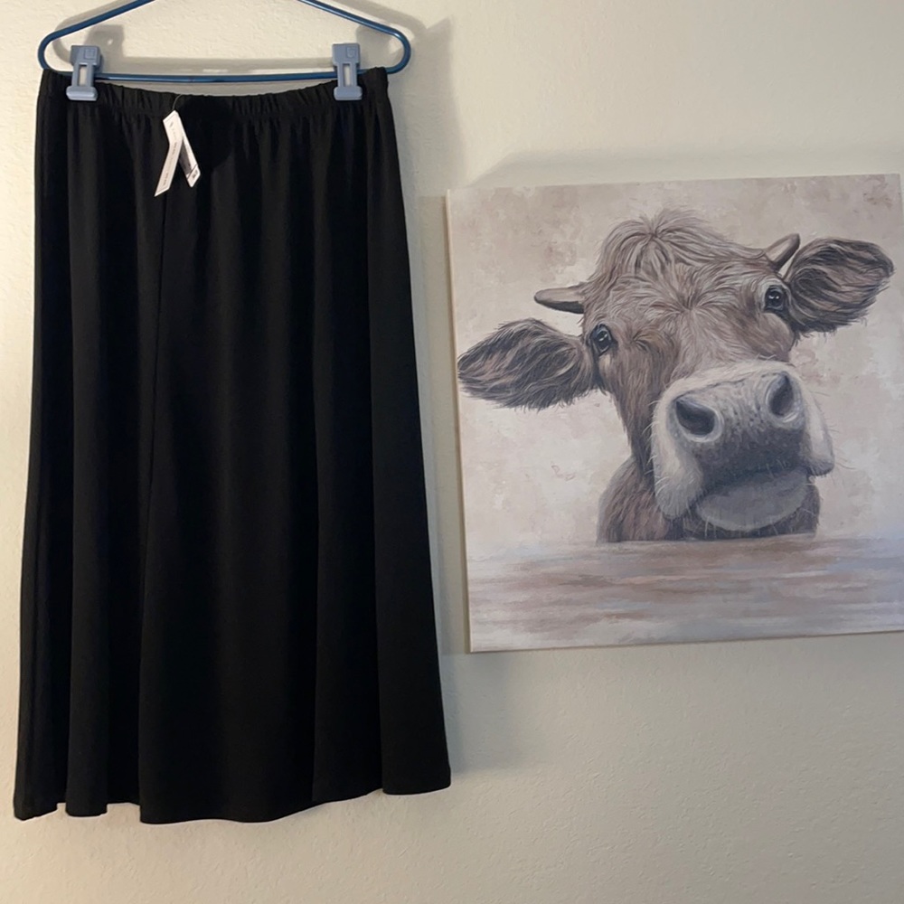 BNWT Christopher and Banks skirt